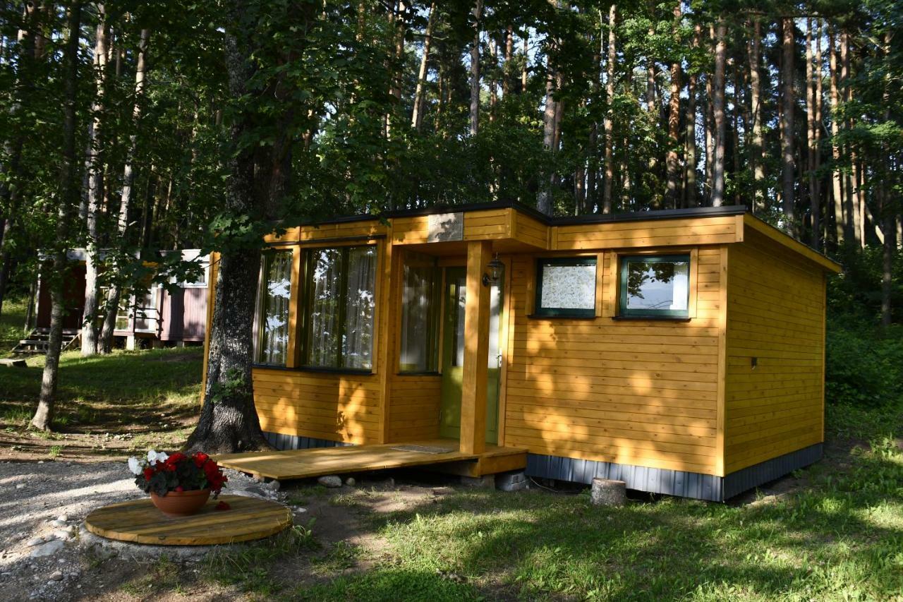 Kempings Ezerpriedes Burtnieki  Exterior foto